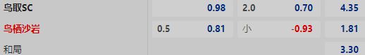 鸟栖沙岩.JPG